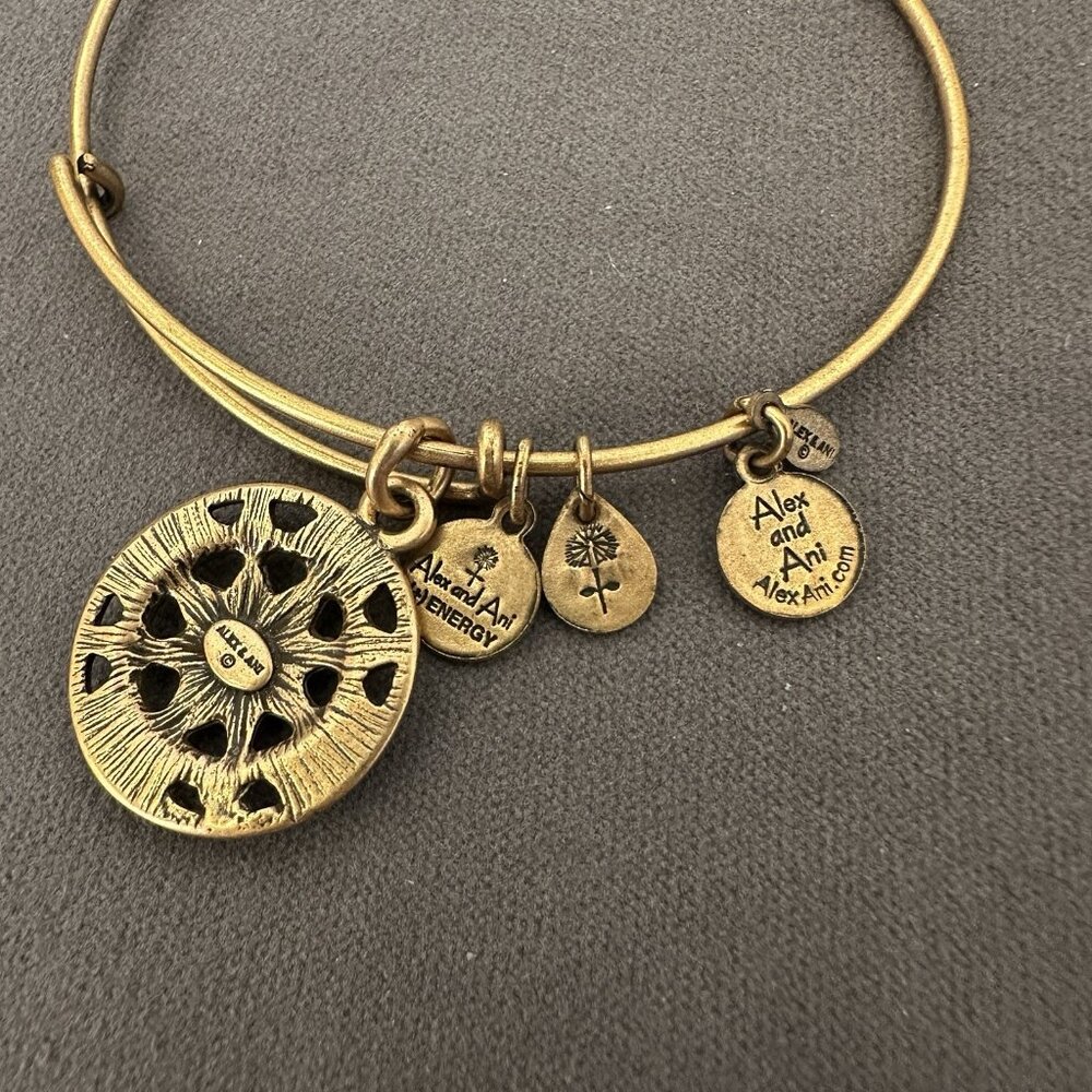 Alex And Ani Bracelet Gold Tone Compass‎ Direction 2014 USA Bangle Energy W/ Bag - Picture 4 of 6
